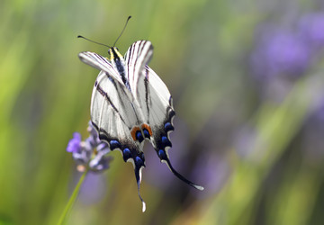 Similar image 21209107