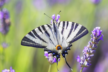 Similar image 21209108