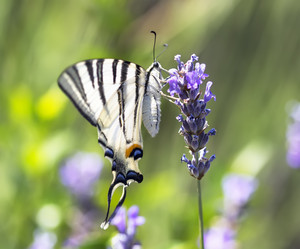 Similar image 21209109