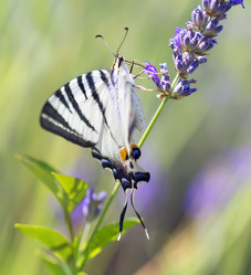 Similar image 21209110