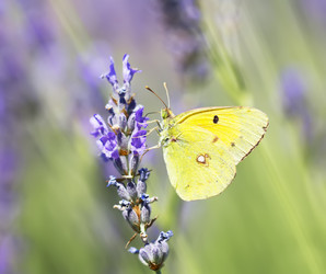 Similar image 21209111