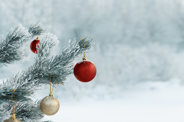 Similar image 21205942