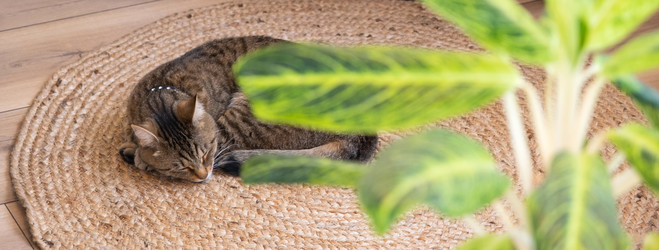 Similar image 21214313