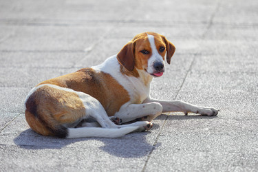 Similar image 21209112