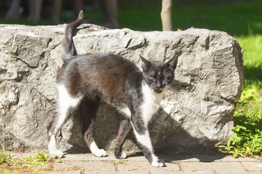 Similar image 21209113