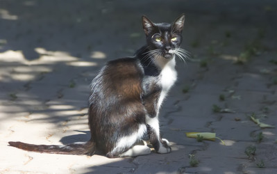 Similar image 21209114