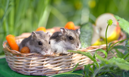 Similar image 21209115