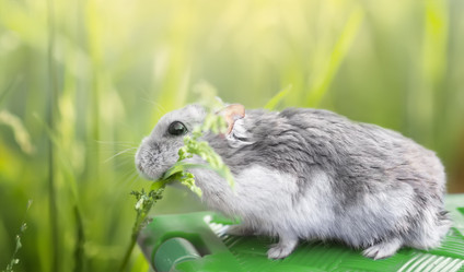 Similar image 21209116