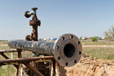 Similar image 21217032