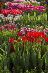 Similar image 21207048