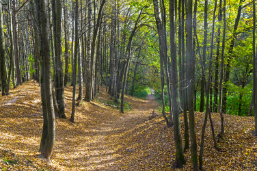 Similar image 21207050