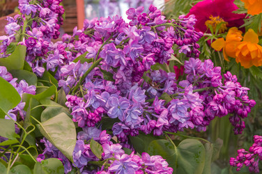 Similar image 21207051