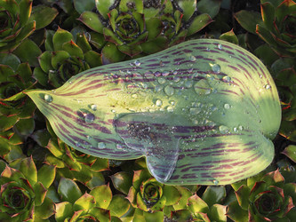 Similar image 21205525