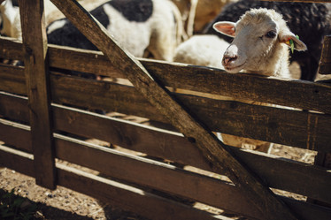 Similar image 21204628