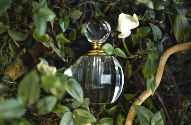 Similar image 21204629