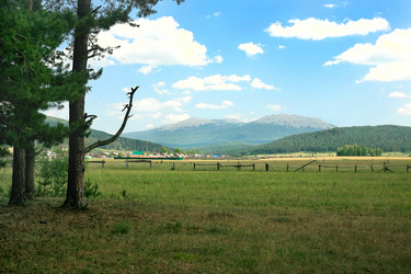 Similar image 21253172