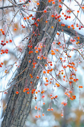 Similar image 21253197