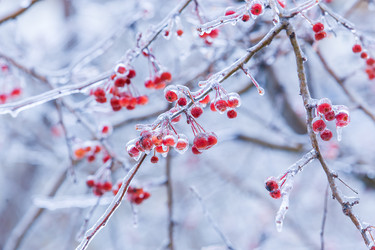 Similar image 21253198