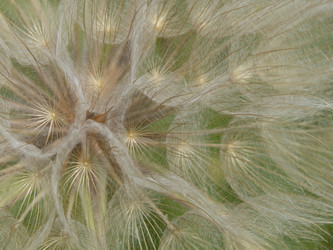 Similar image 21212566