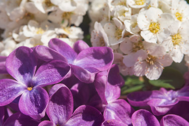 Similar image 21212568