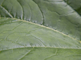 Similar image 21212571