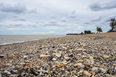 Similar image 21212573