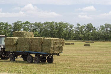 Similar image 21212577