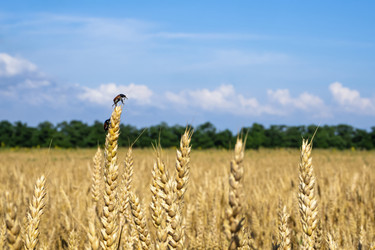 Similar image 21212578