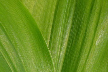 Similar image 21212579