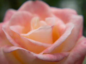 Similar image 21212587