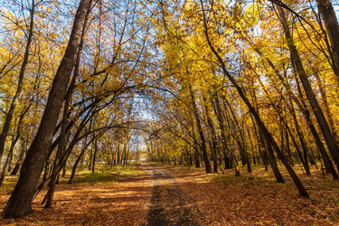 Similar image 21214674