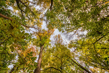 Similar image 21214677