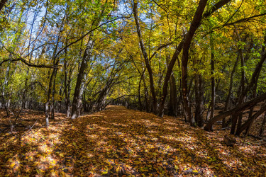 Similar image 21214683