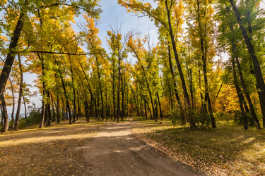 Similar image 21214684