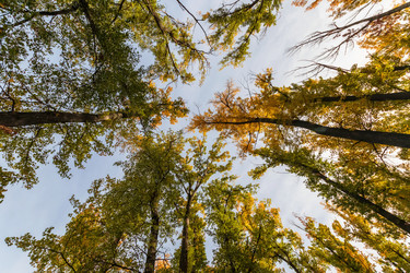 Similar image 21214686