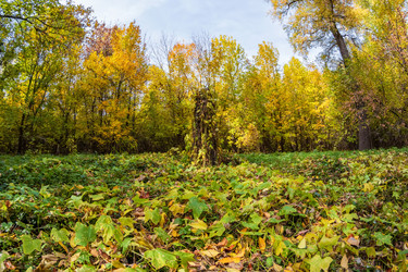 Similar image 21214717