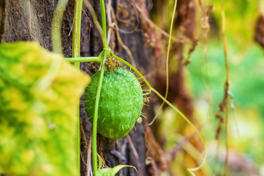 Similar image 21236583