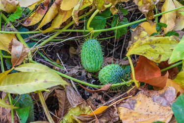 Similar image 21236619