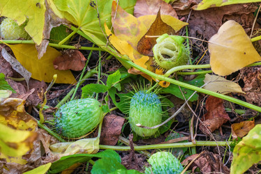 Similar image 21237761