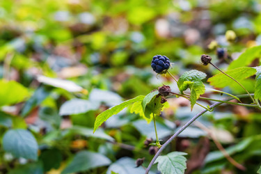 Similar image 21237763