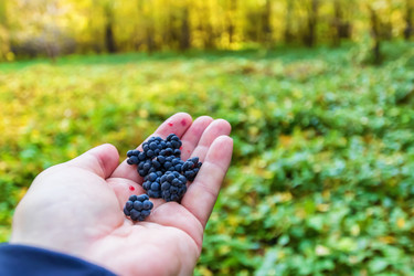 Similar image 21214721