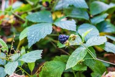 Similar image 21237764