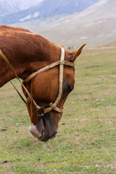 Similar image 21205130