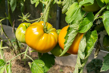 Similar image 21205131