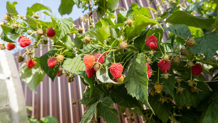 Similar image 21205132