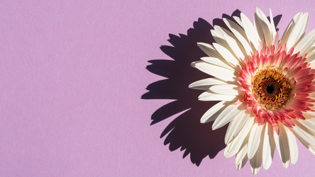 Similar image 21205133