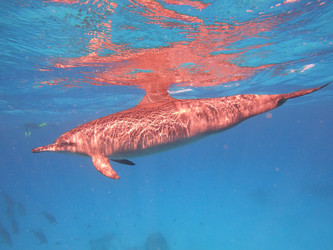 Similar image 21205134