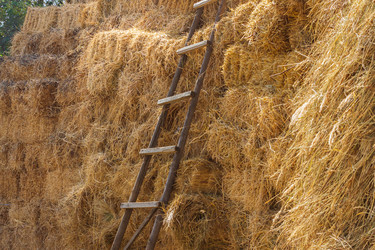 Similar image 21205135