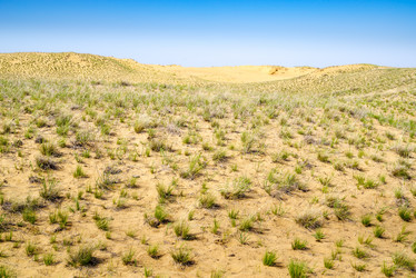 Similar image 21207058