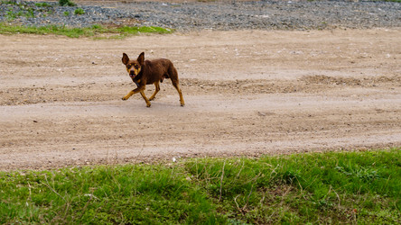 Similar image 21207060